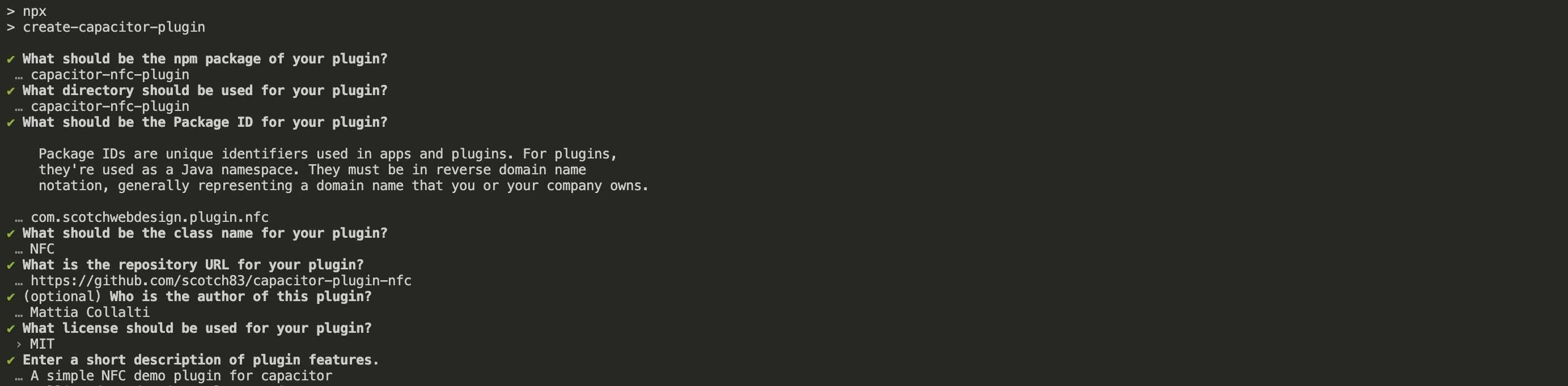 CLI screenshot with my parameters